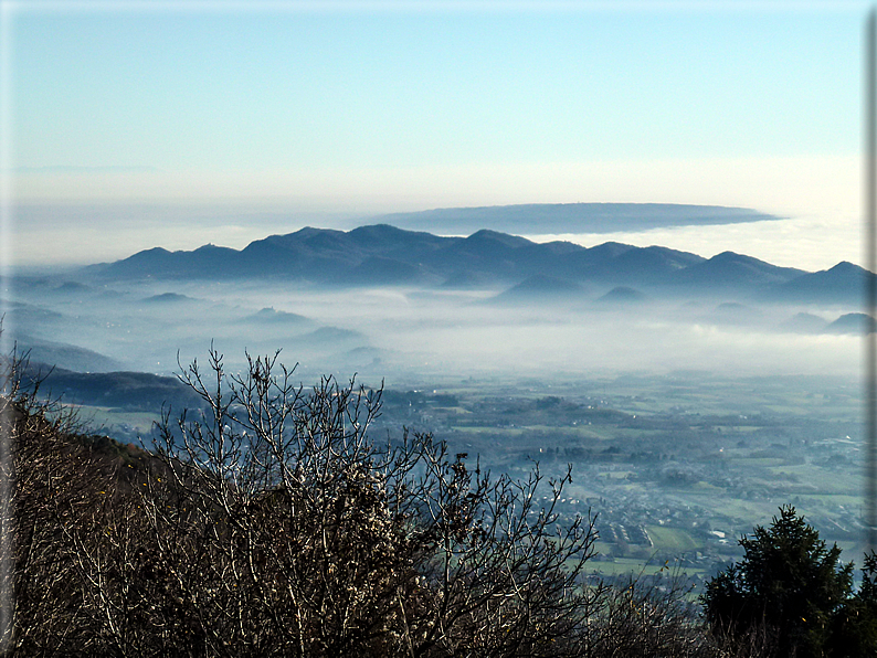 foto Pedemontana Veneta nella nebbia